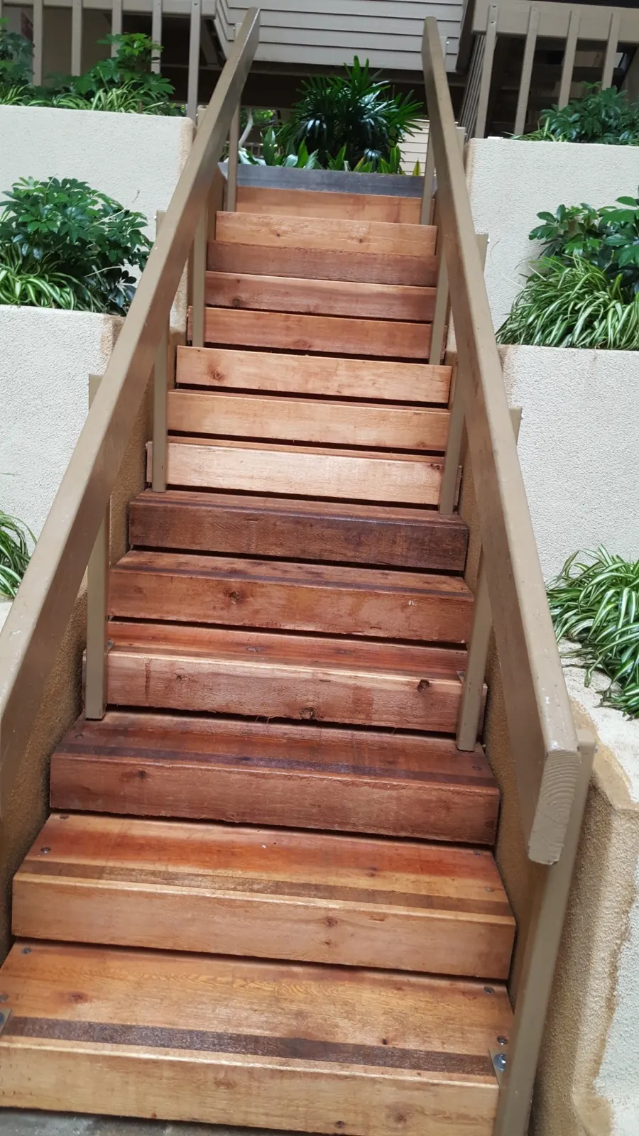 New cedar stair treads installed on an outdoor entryway