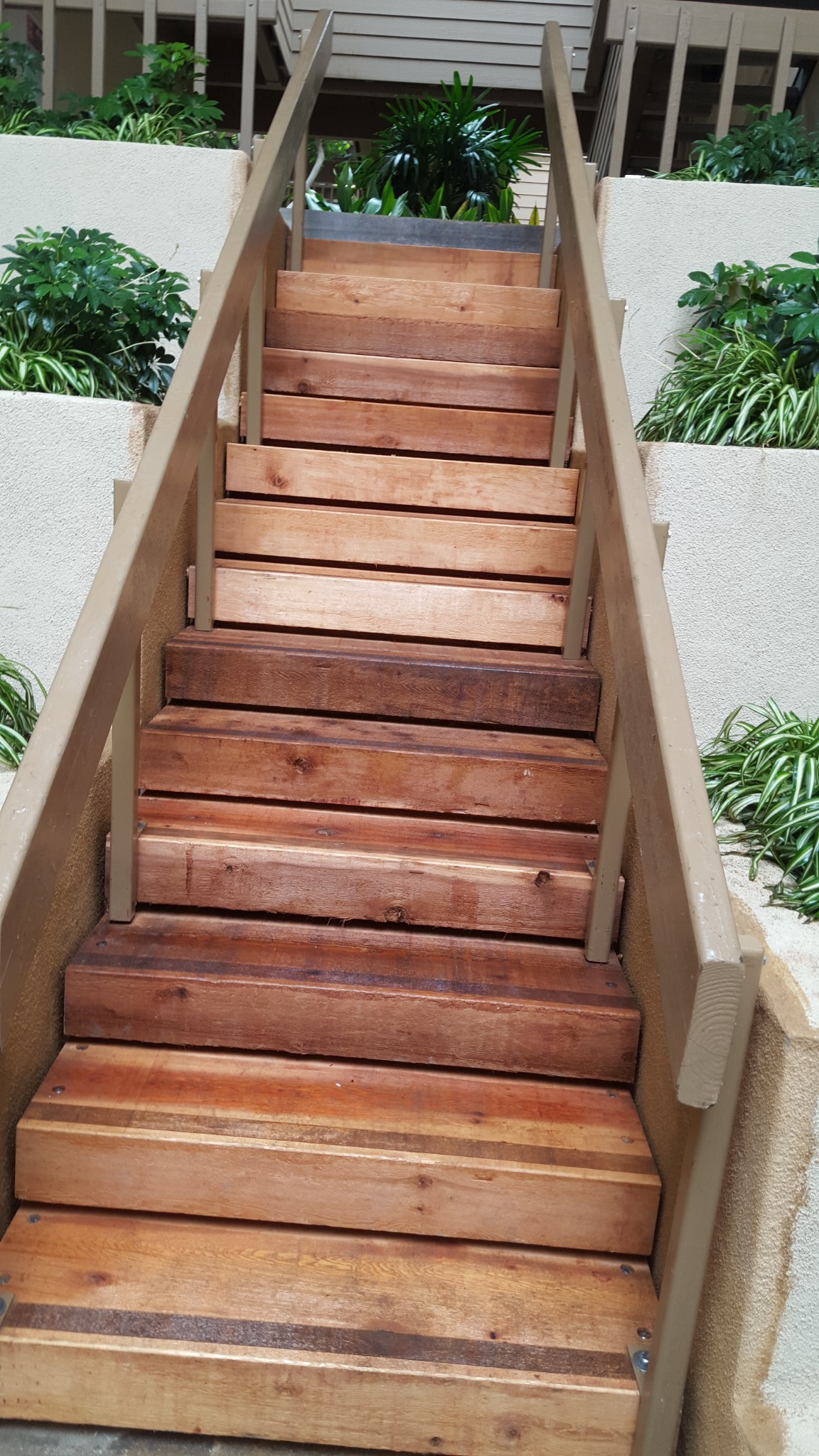 New cedar stair treads installed on an outdoor entryway